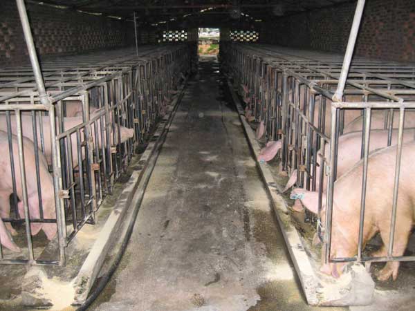 ����ʽ��늂��������ڱO(ji��n)��